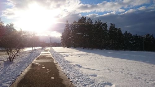 Road amidst trees against sky during winter