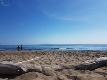 Scenic view of beach against blue sky