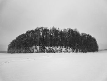 Trees on snow covered landscape against clear sky