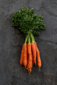 High angle view of vegetables