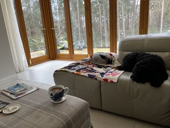 indoors
