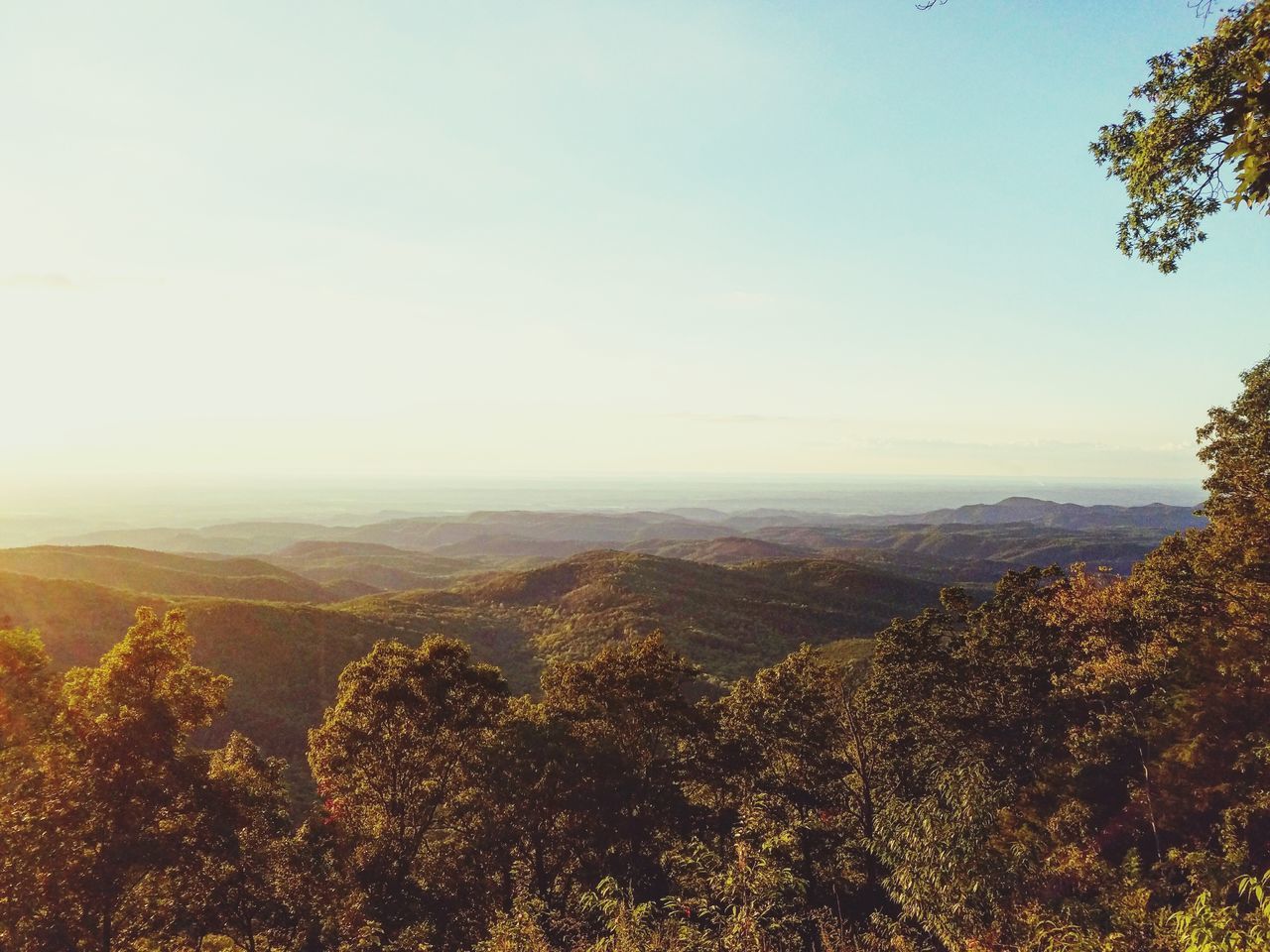 tranquil scene, scenics, tree, landscape, tranquility, mountain, beauty in nature, non-urban scene, nature, idyllic, remote, growth, countryside, day, solitude, sky, mountain range, blue, outdoors, valley, tourism, no people, cloud - sky, majestic, mist, green, green color, wilderness