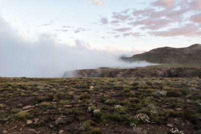 Scenic view of landscape against sky