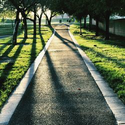 Footpath in park