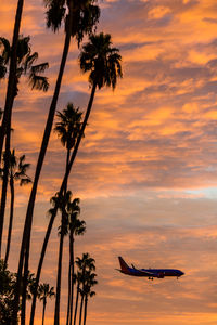 Low angle view of silhouette palm trees against sky during sunset