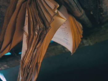 Close-up of woman reading book