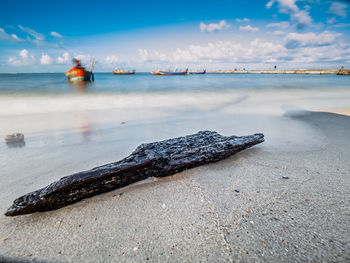 Driftwood on sand at beach against sky