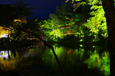 Reflection of trees in lake at night