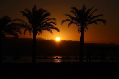 Silhouette palm trees against sky during sunset