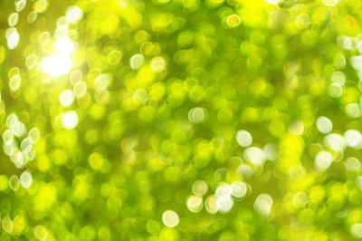 Defocused image of bright sun