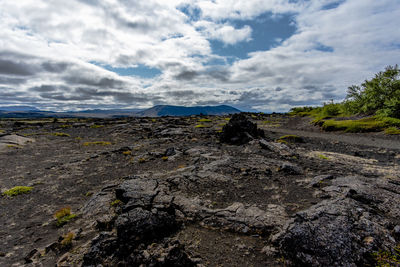 Lava rocks on stretch of sand with cloudy blue sky at lake mivatn in iceland