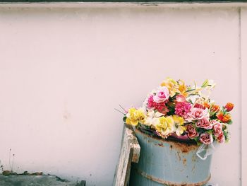 Close-up of flowers against wall