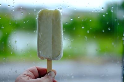 Close-up of hand holding ice cream 