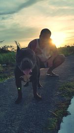 Dog on field at sunset