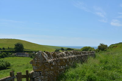 Scenic view of field against blue sky