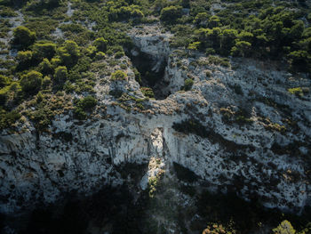 High angle view of water flowing through rocks in forest