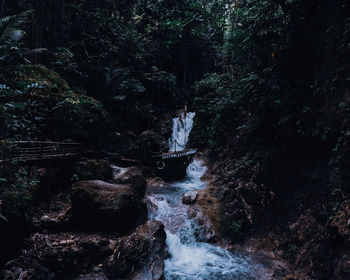 Scenic view of waterfall in forest