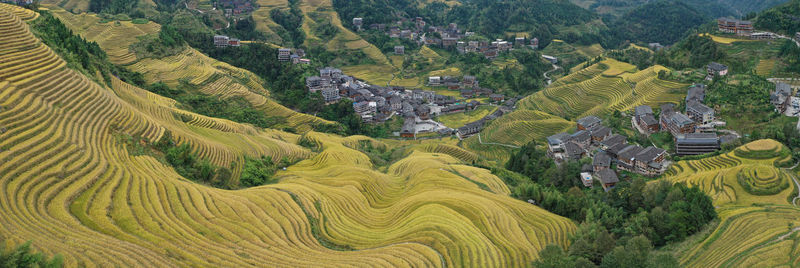 Panoramic view of rice fields in longji, china