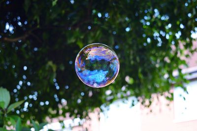 Close-up of bubbles against blue sky