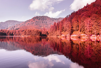 Scenic view of lake by trees against sky