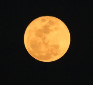 Low angle view of moon in sky