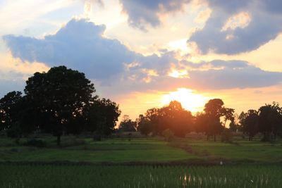 Scenic view of field against sky during sunset