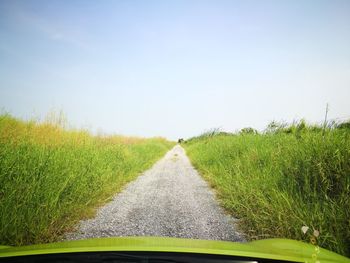 Narrow road along plants and against clear sky