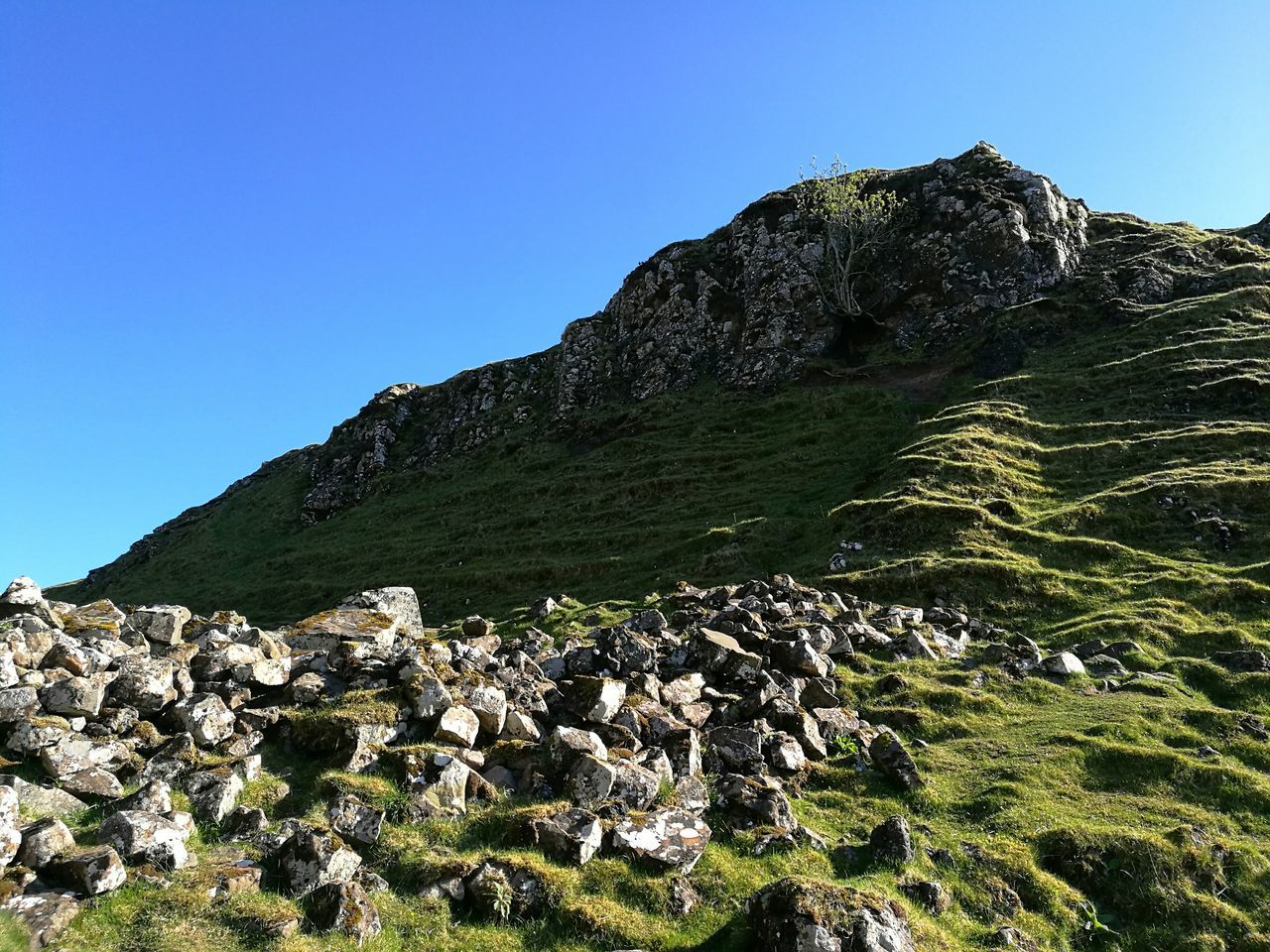 Faerie Glen