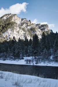 Snow covered land and trees against sky in yellowstone national park