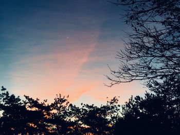 Low angle view of silhouette trees against sky at sunset