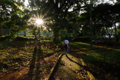 Boy walking on tree