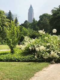 Trees and plants in garden against buildings in city