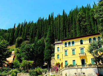 Panoramic shot of trees and buildings against sky