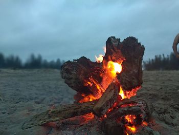 Close-up of bonfire on wood against sky