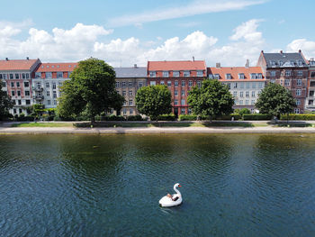 Birds in lake against buildings