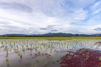 Scenic view of lake against sky