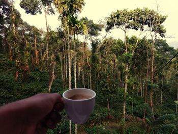 Close-up of hand holding coffee cup against trees in forest