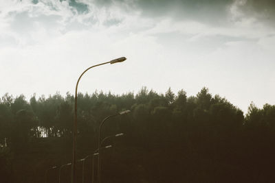 Low angle view of trees against sky