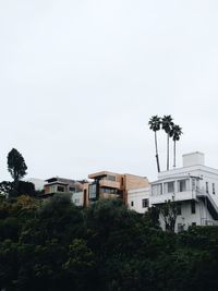 Trees and buildings against sky