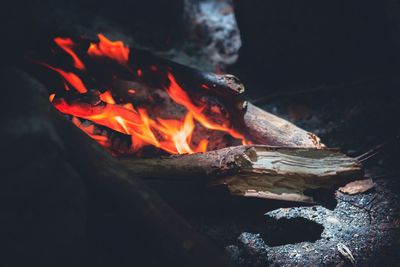 Close-up of bonfire at night