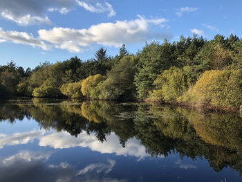 Reflection of trees in lake against sky