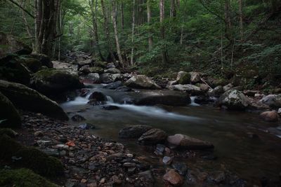 Stream flowing through rocks in forest