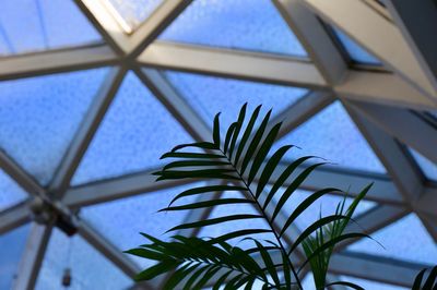 Low angle view of window against sky