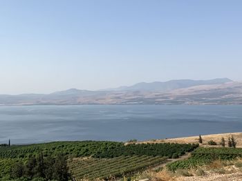 Scenic view of landscape against clear sky