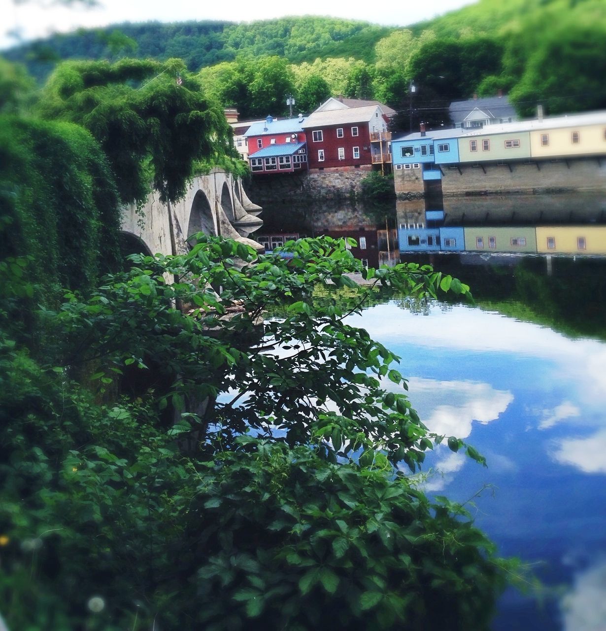 tree, water, built structure, architecture, green color, river, building exterior, nature, growth, waterfront, mountain, reflection, lush foliage, house, tranquility, high angle view, tranquil scene, day, forest, scenics