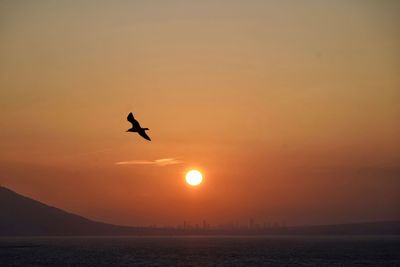 Silhouette bird flying over sea against orange sky