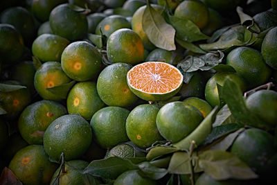 Close-up of oranges growing in market