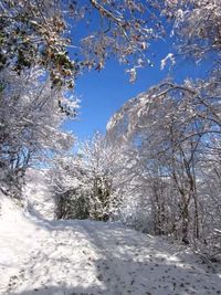 Scenic view of snow covered landscape