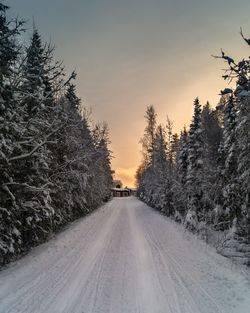 Road amidst snow covered trees against sky during sunset