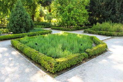 Scenic view of garden by lake in park